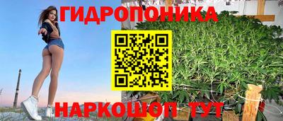 прущие крисы Славгород